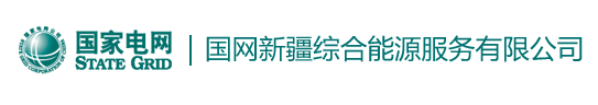 国网新疆
